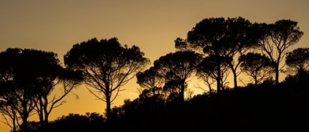 Subvenciones del Parque Nacional de Cabañeros